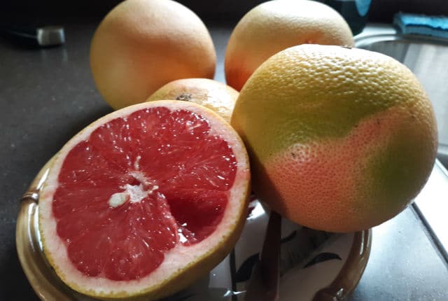 Grapefruit