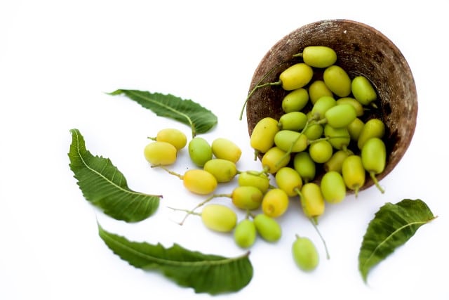 neem oil