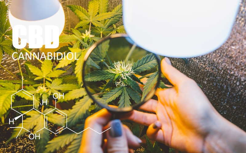 Benefits of CBD