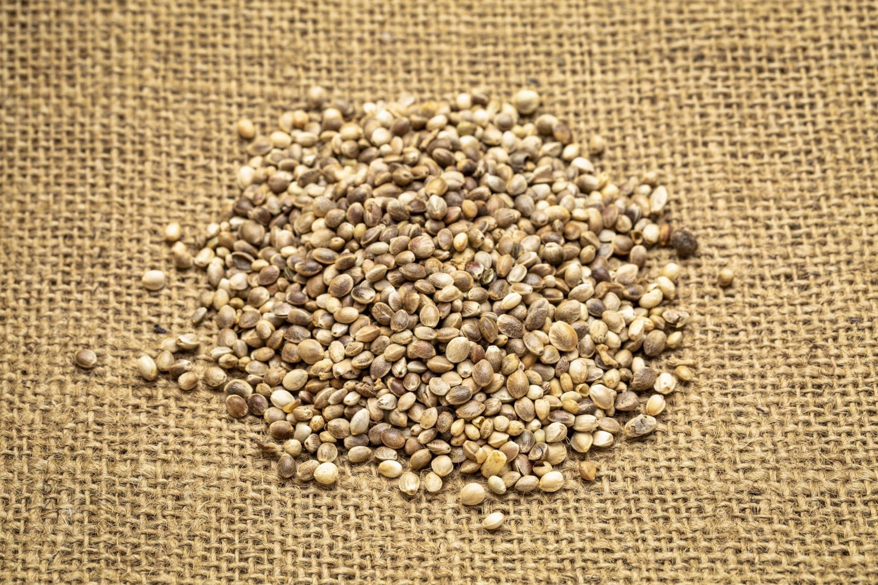 hemp seeds