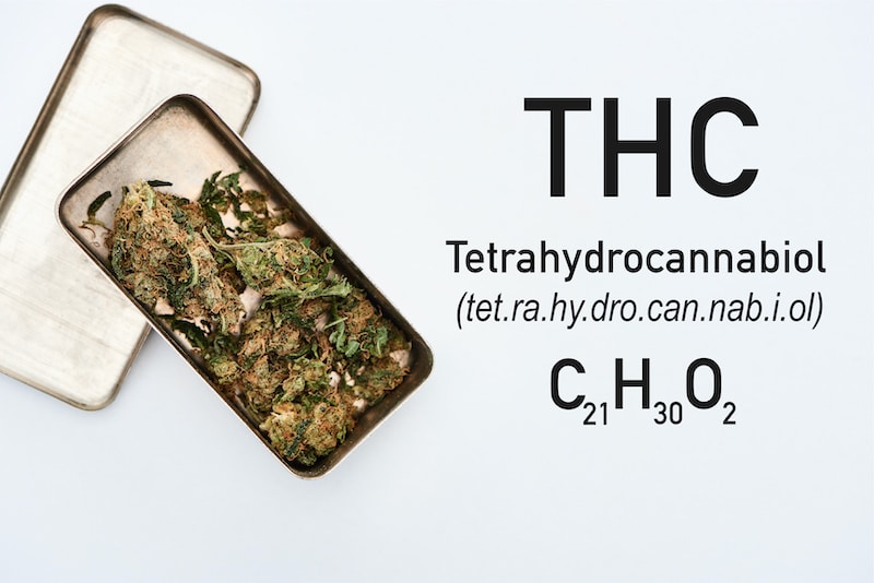 CBD versus THC - what’s the difference