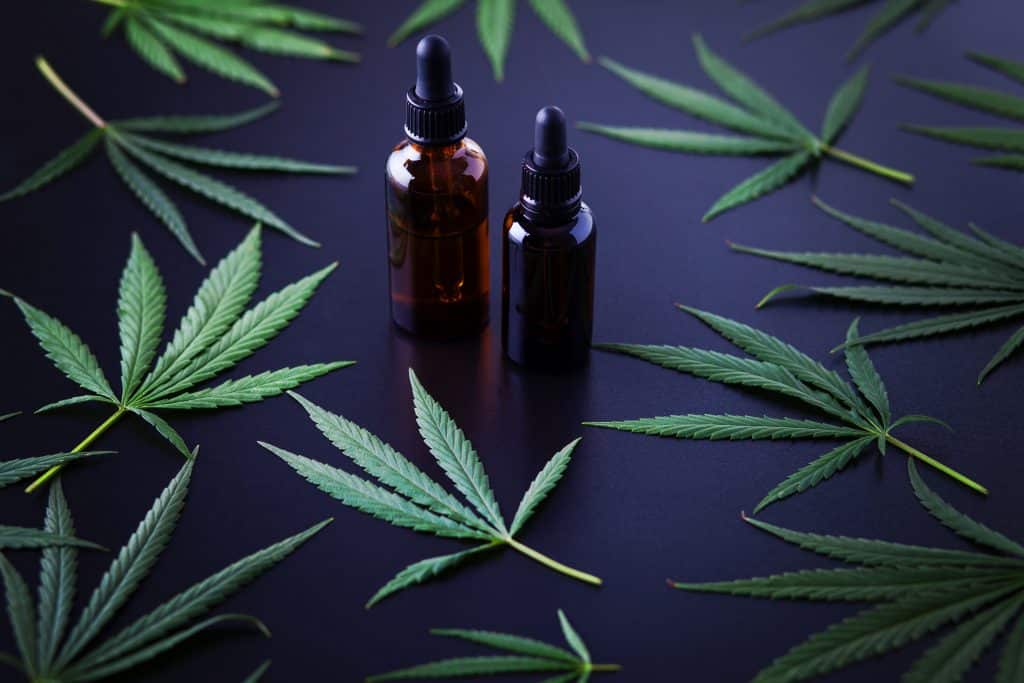 hemp and cannabis