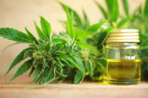 CBD for Chronic Pain